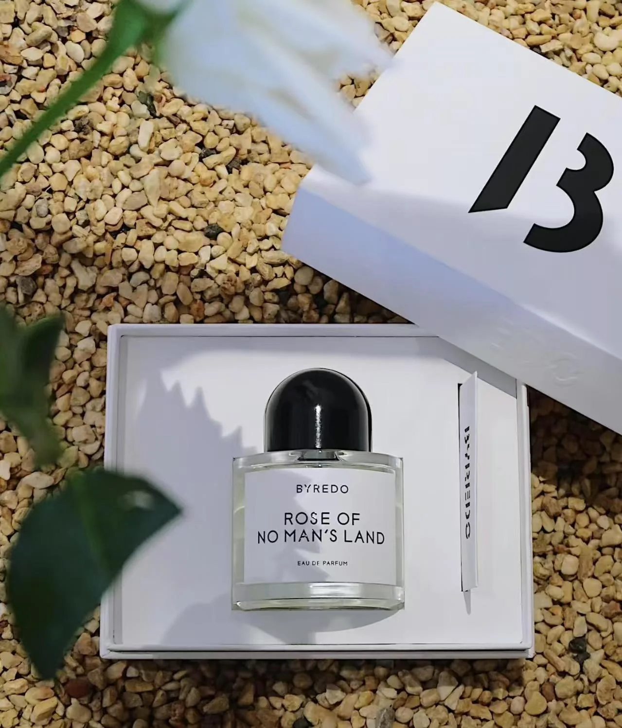 Byredo無人區玫瑰香水 冷艷與溫柔的獨特邂逅